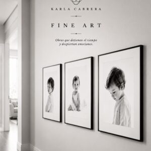 Fine Art